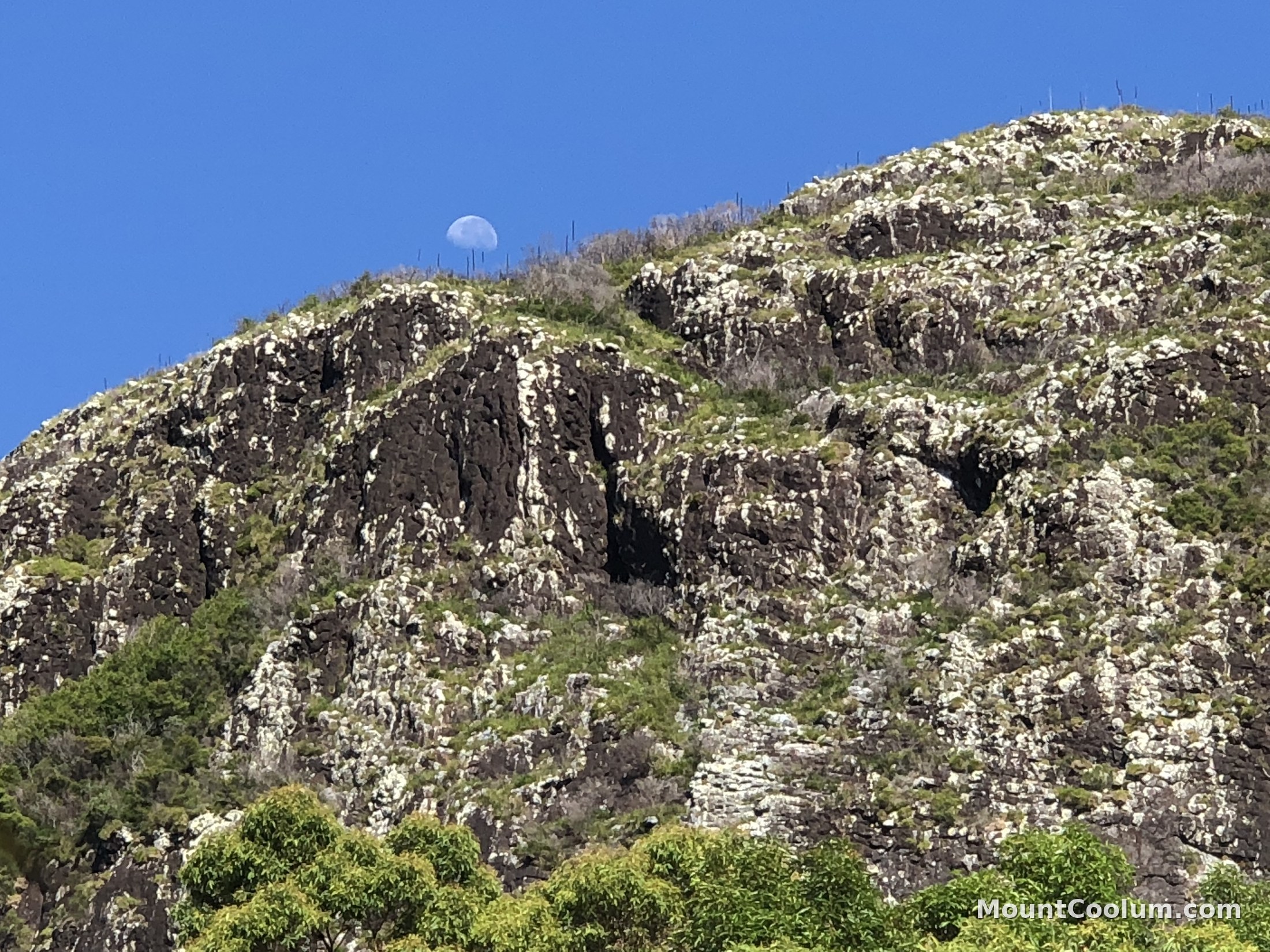 The moon rising over Mount Coolum's columnar rhyolite cliffs in daylight