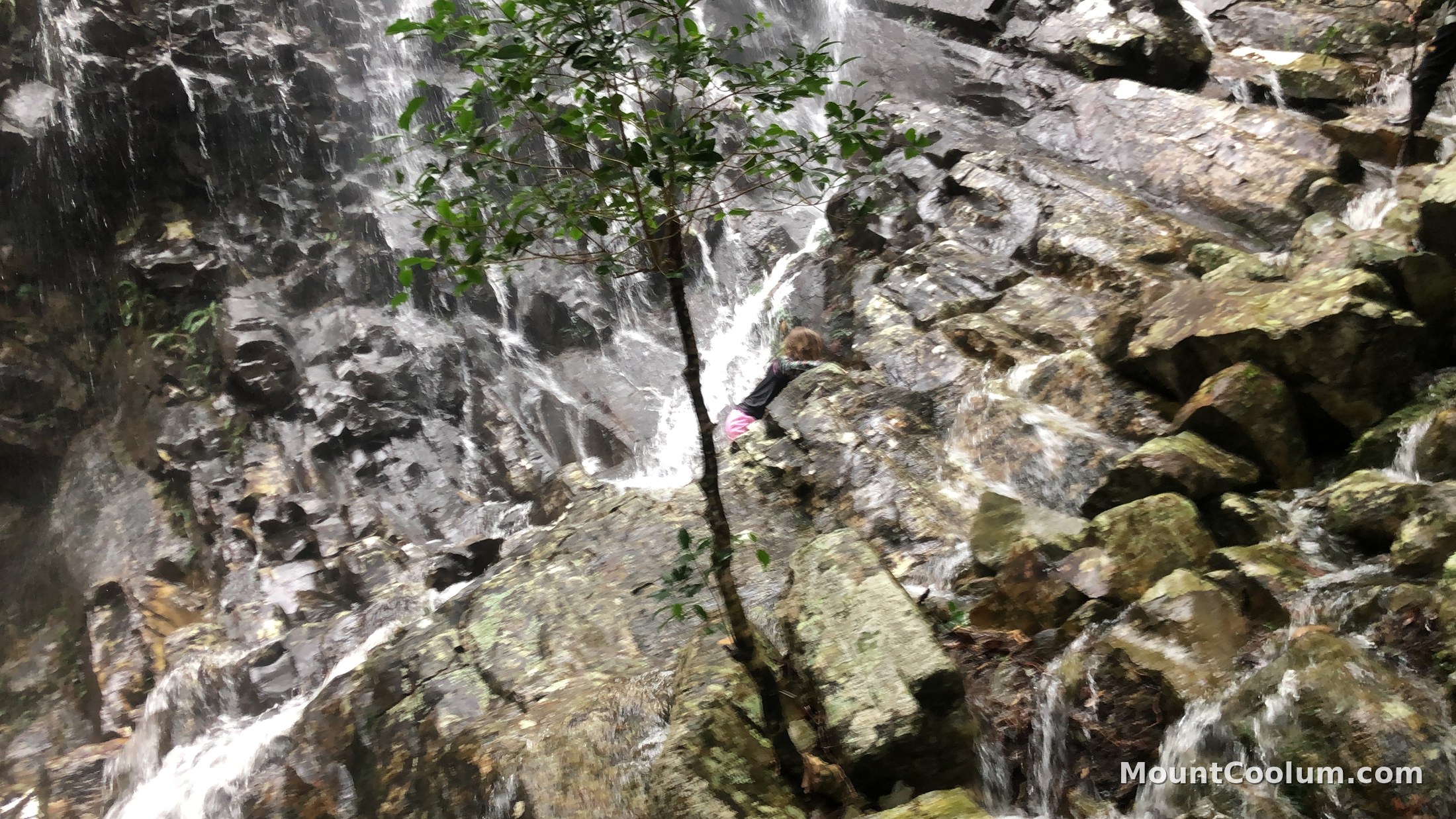 A seasonal waterfall running down Mount Coolum's rhyolite cliffs after rain