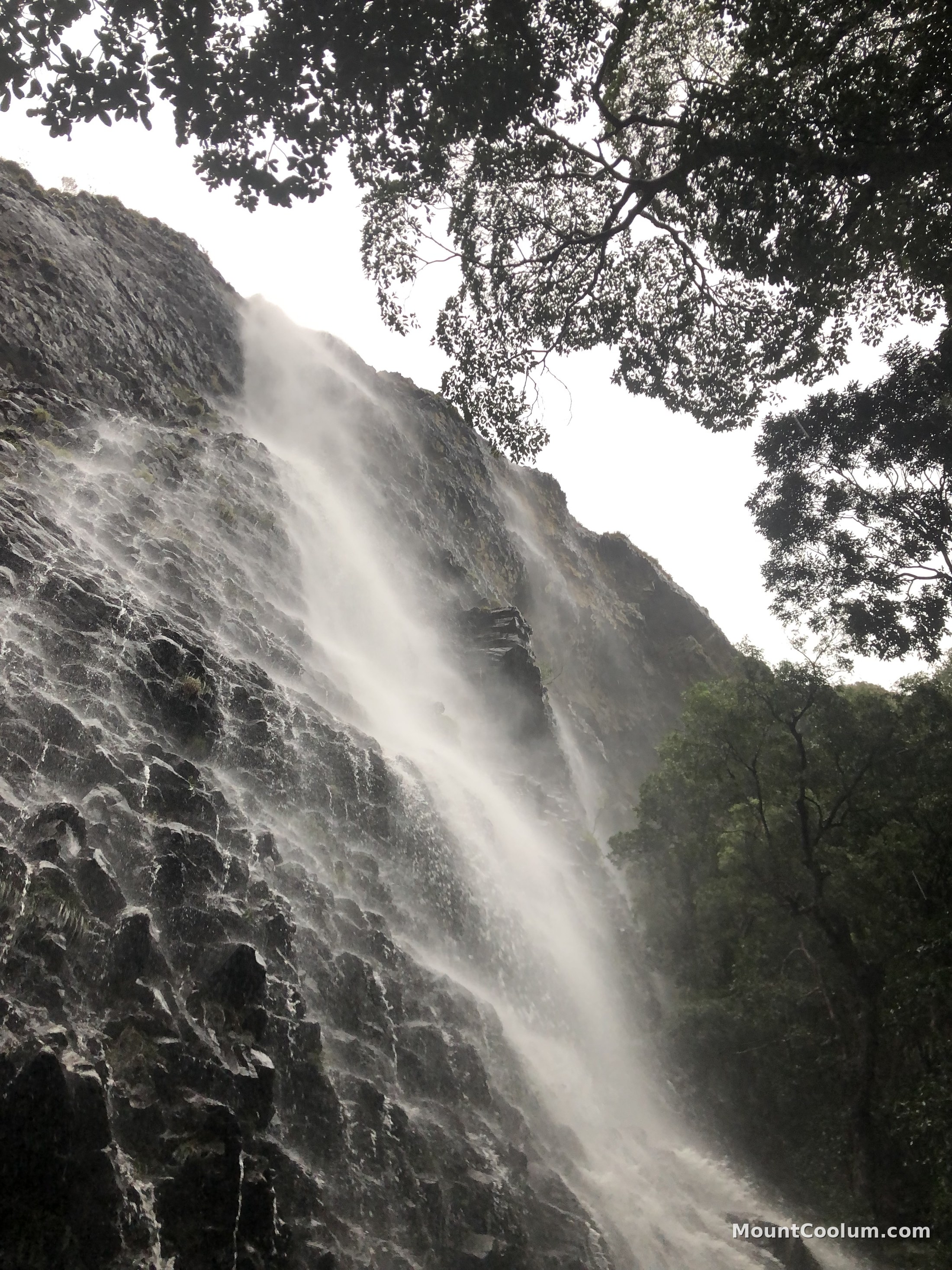 A tall waterfall dropping down Mount Coolum's rhyolite cliffs, framed by trees
