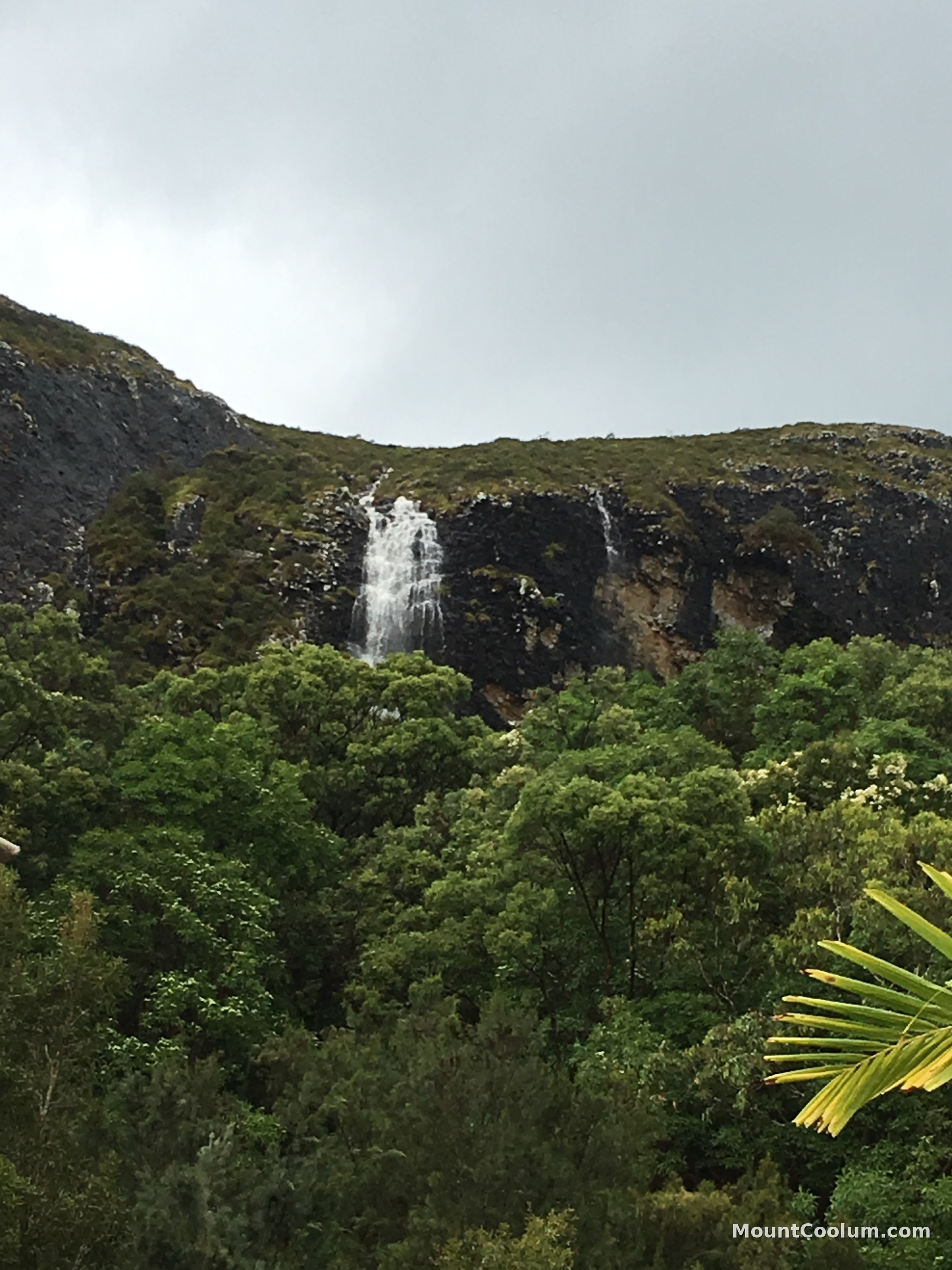 A distant view of a waterfall on Mount Coolum's cliffs, seen across the forest canopy